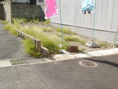 写真6