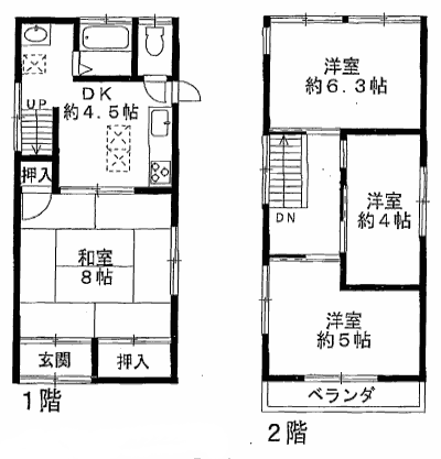 �ʐ^6