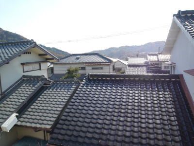 写真6