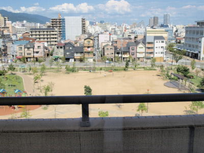 写真1