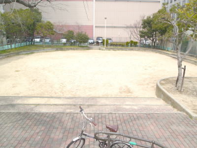 写真1