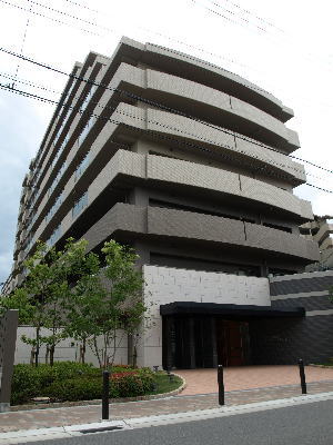写真6