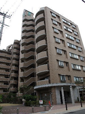 写真6