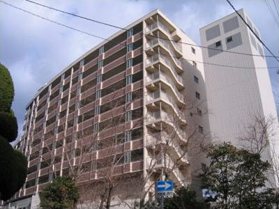 写真6