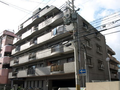 写真6
