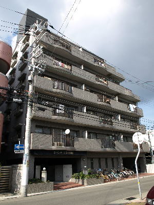 写真6