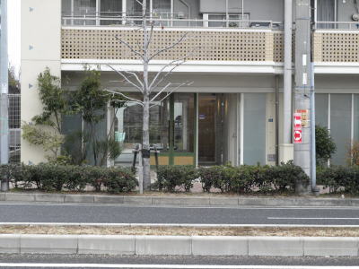 写真6
