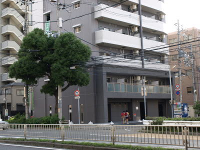 写真1